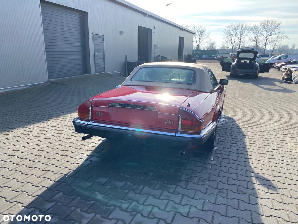Jaguar XJS - 6