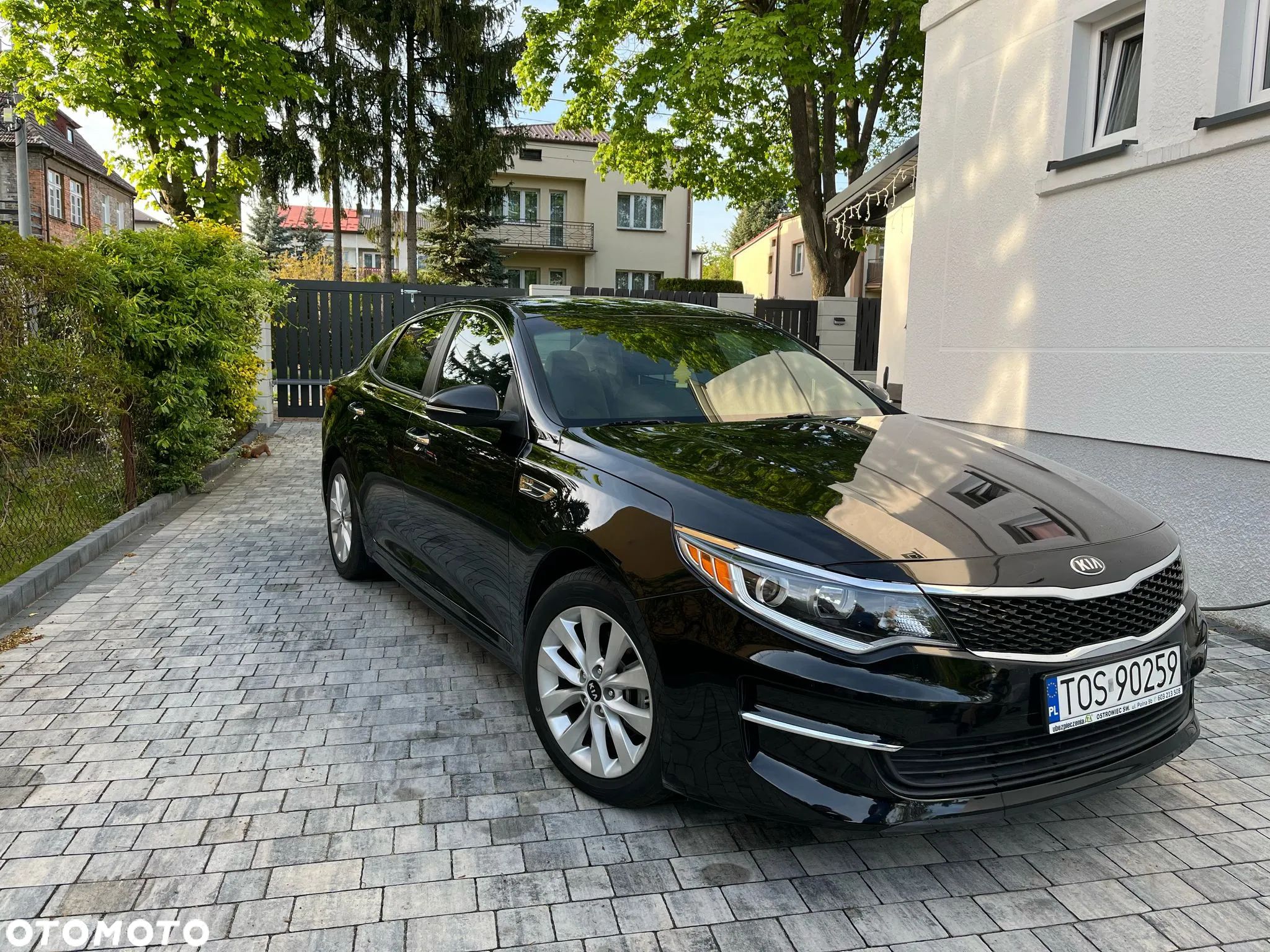 Kia Optima - 1
