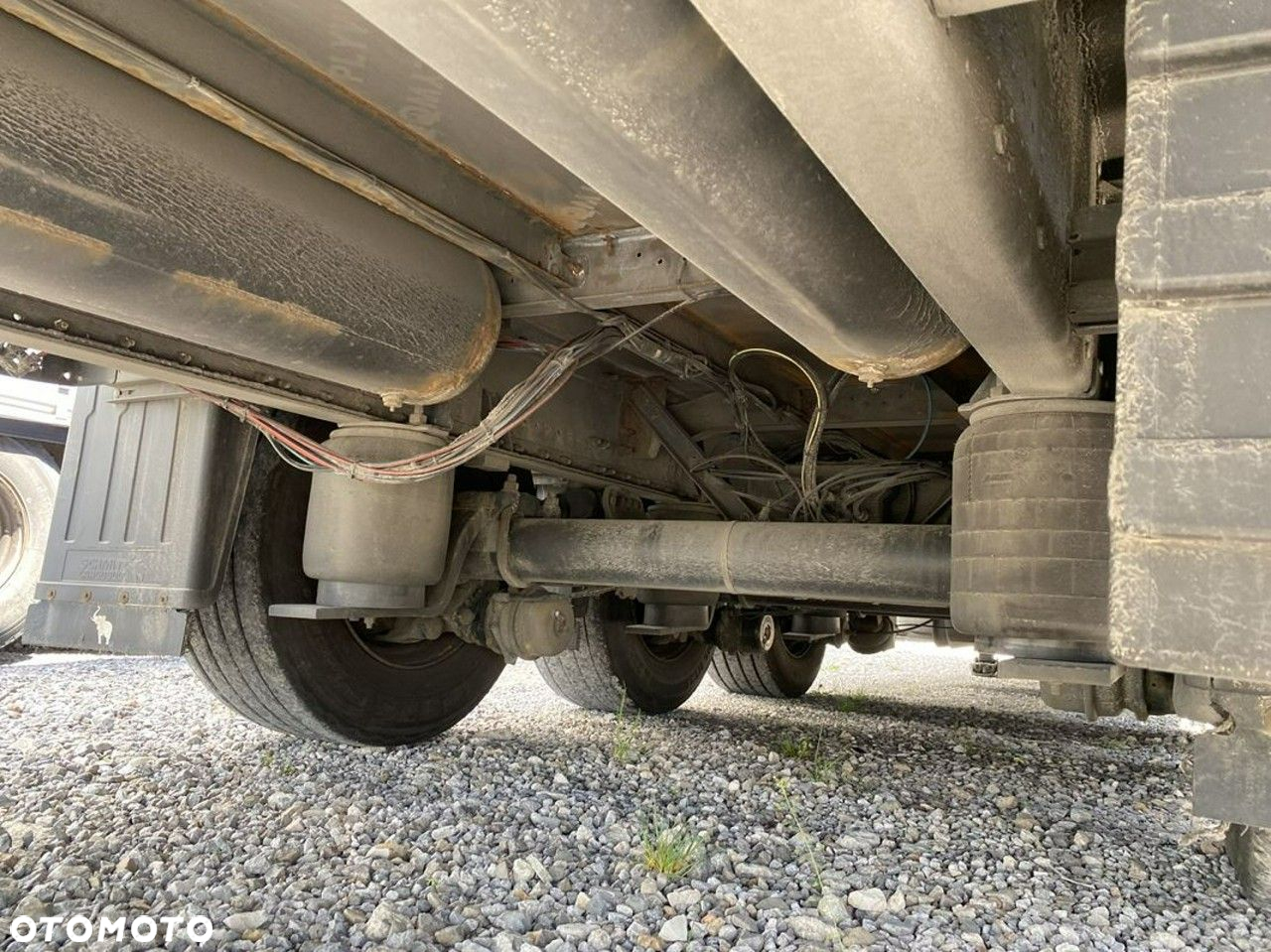 Schmidt - 29