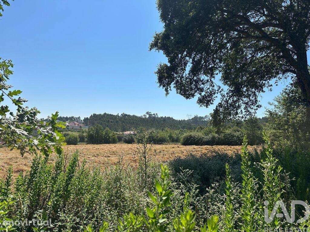 Terreno para construção em Requeixo, Nossa Senhora de Fátima e Nariz d - Grande imagem: 3/4