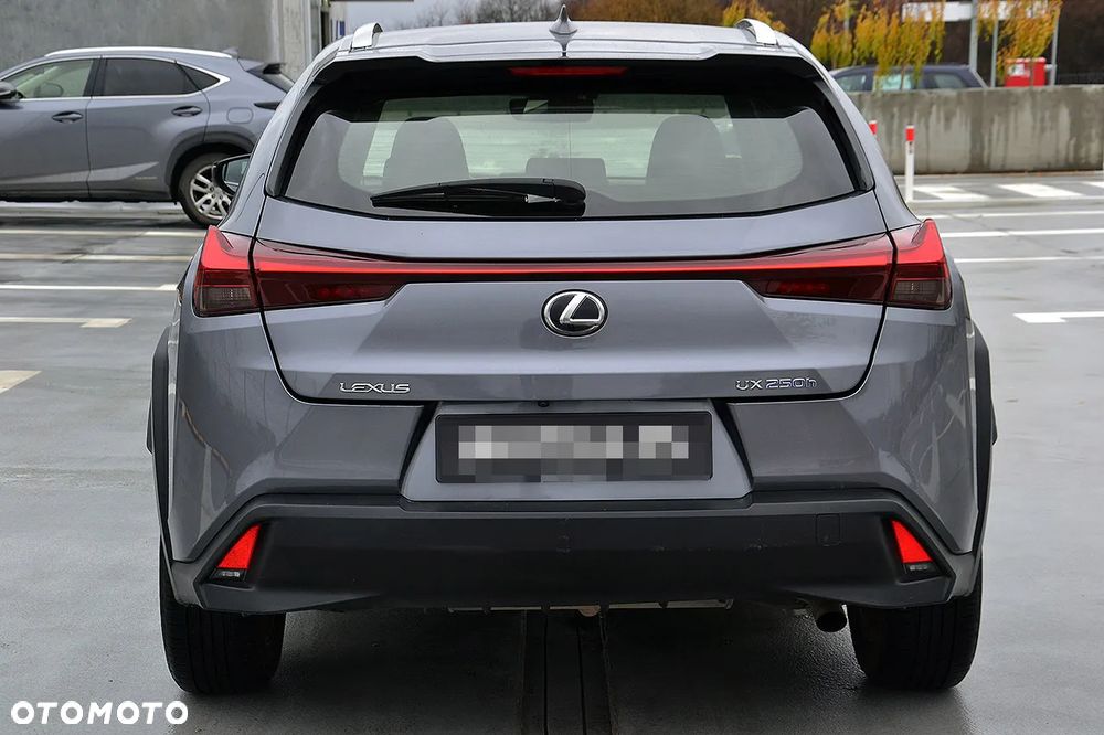 Lexus UX 250h Business Edition - 5
