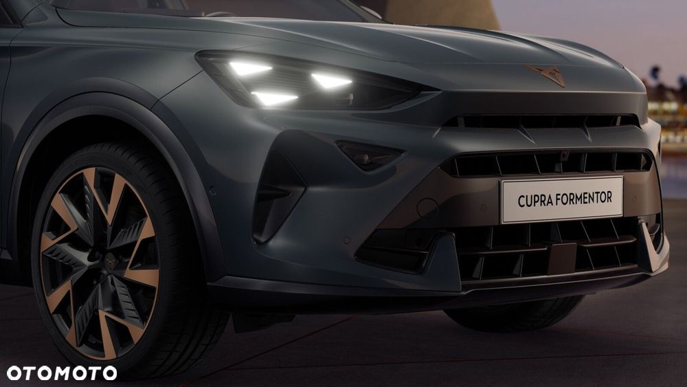 Cupra Formentor 2.0 TSI 4Drive DSG - 9