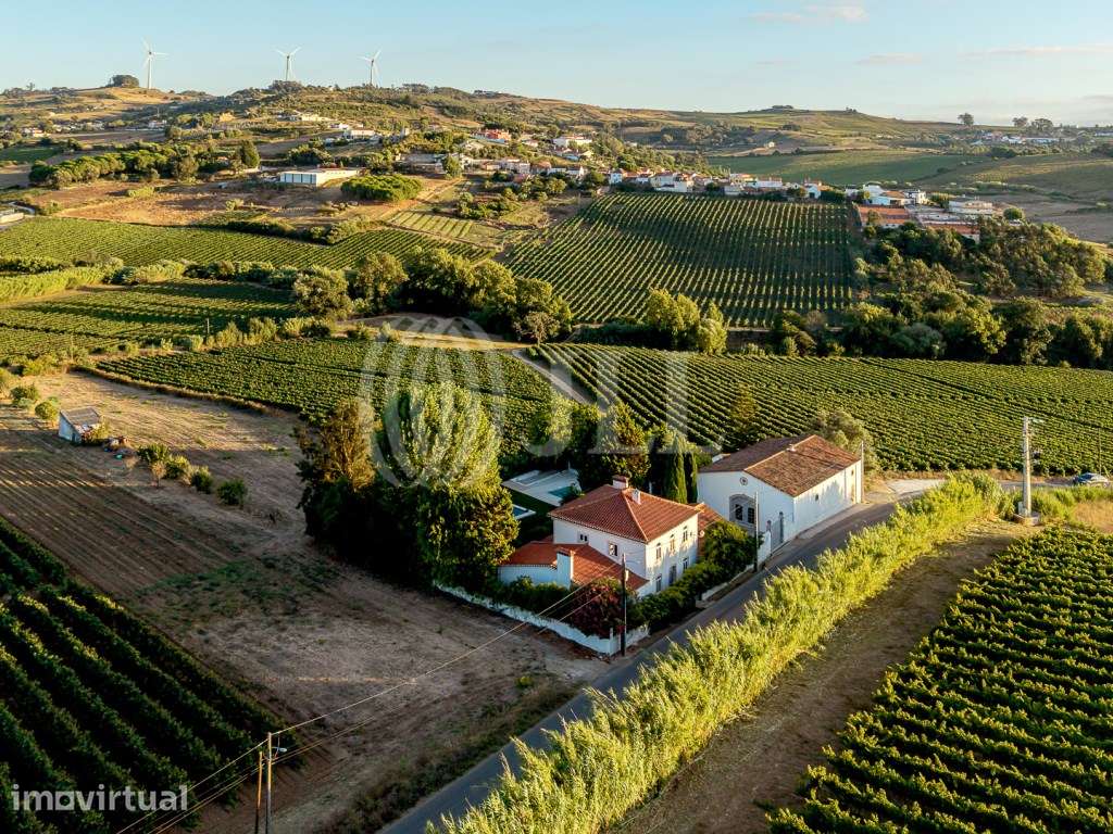 Turismo Rural licenciado, em Carmões, Torres Vedras - Grande imagem: 2/57