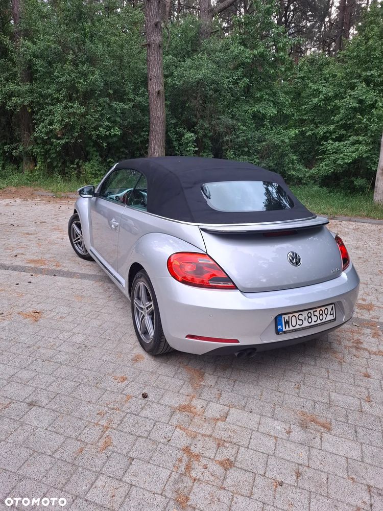 Volkswagen Beetle - 22
