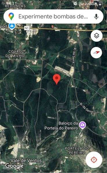 Casal da Charneca 6300m2 terreno plantação de eucaliptos - Grande imagem: 2/5