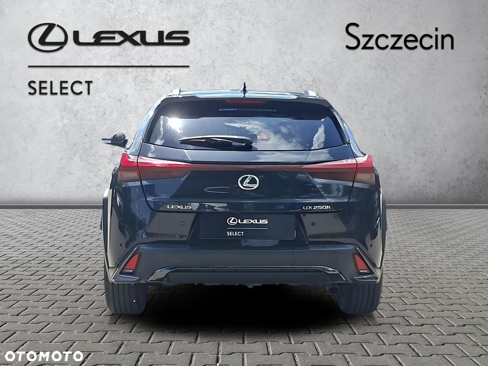 Lexus UX 250h GPF F Sport Design 2WD - 4
