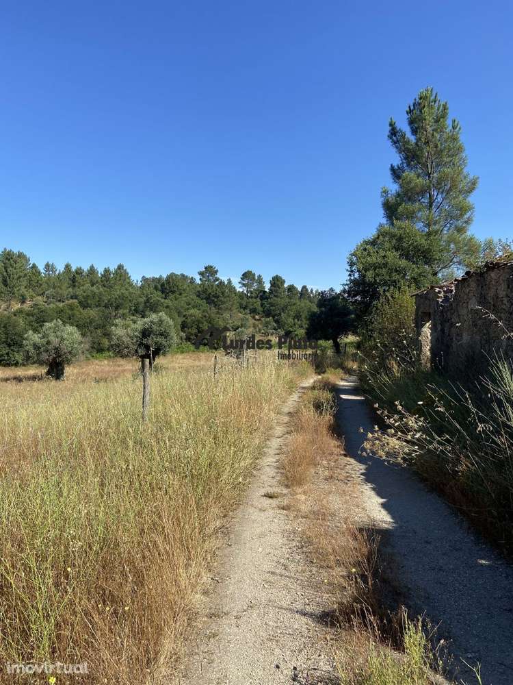 Quinta junto a ribeiro - Grande imagem: 2/10