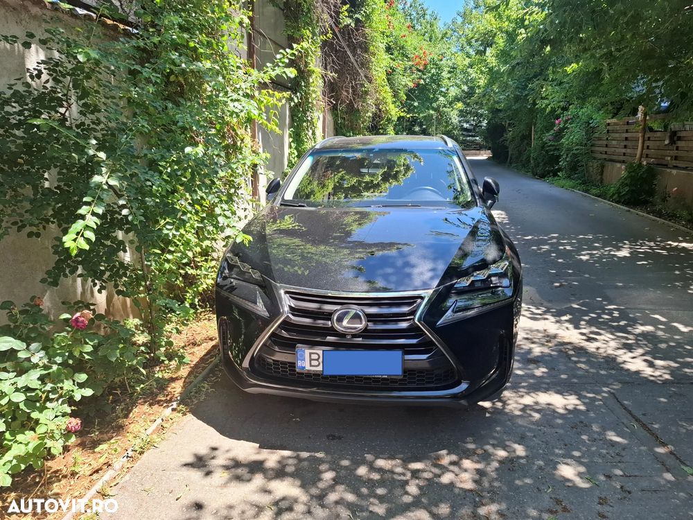 Lexus Seria NX - 31