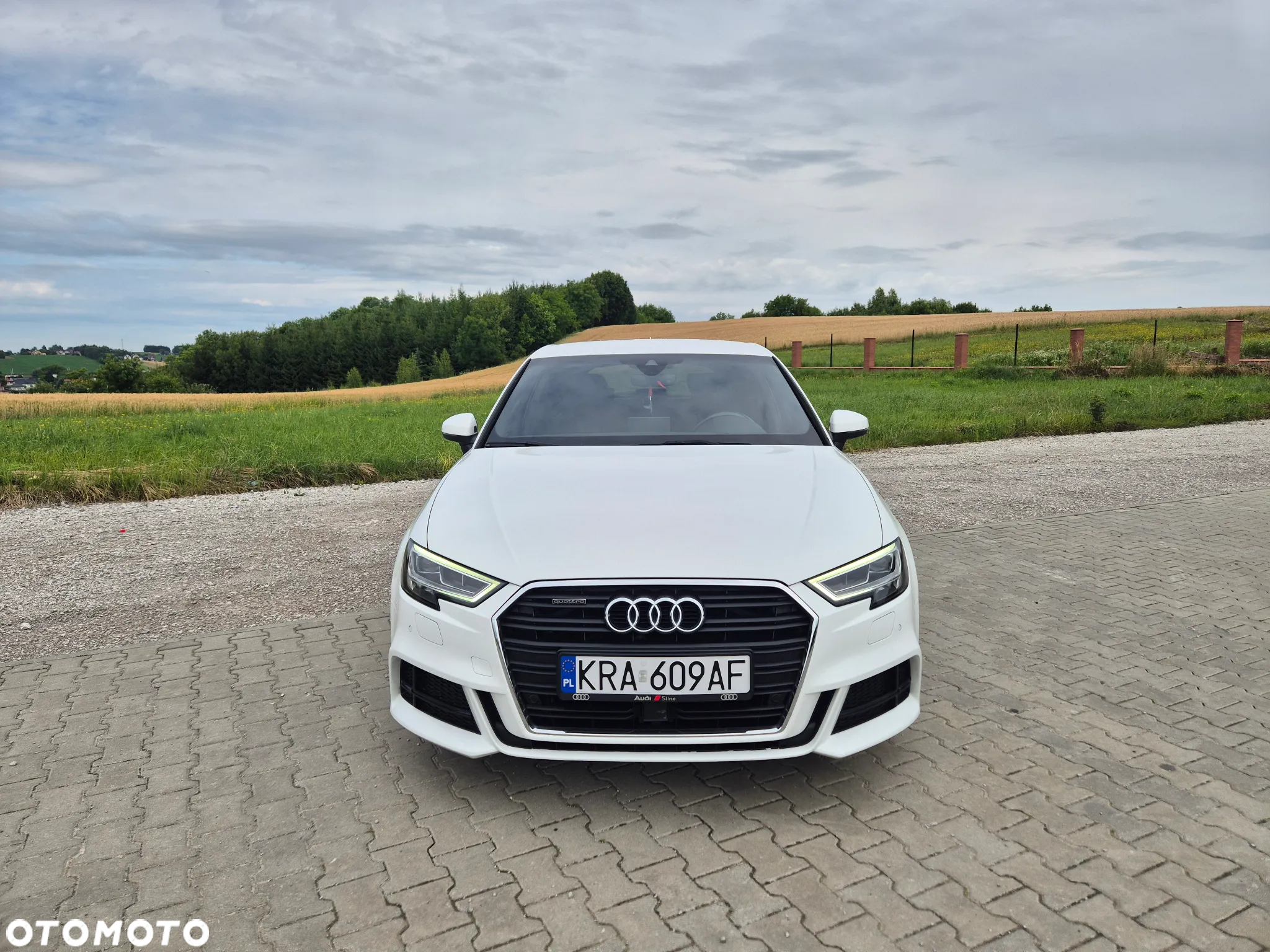 Audi A3 2.0 TDI clean diesel Quattro Ambiente S tronic - 2