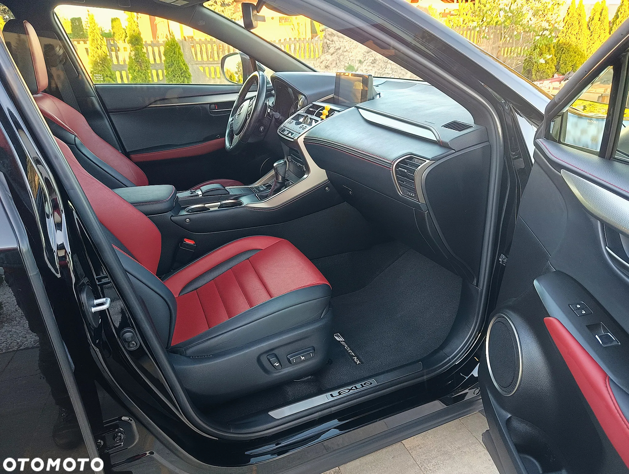 Lexus NX - 21