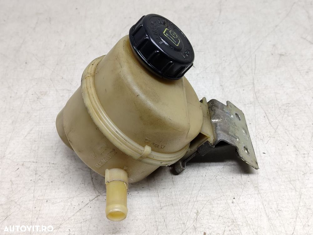 Vas lichid servodirectie 491803558r Dacia Sandero 2 [2013 - 2016] - 2