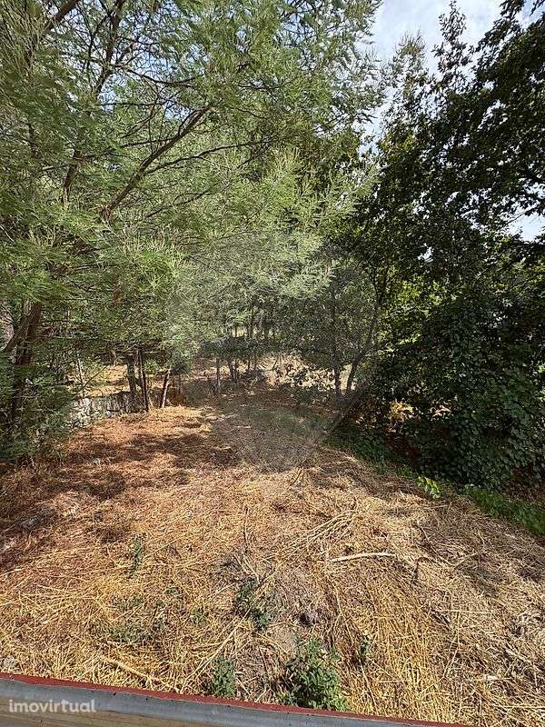 Terreno  para venda - Grande imagem: 4/14