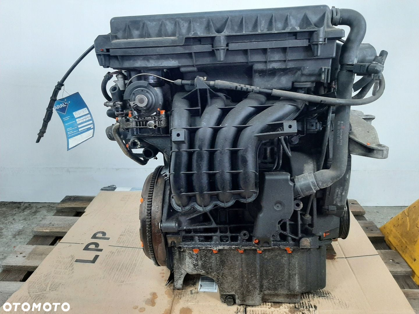VW GOLF IV 1.4 16V HB 5D 00R SILNIK AKQ 55KW 75KM - 3