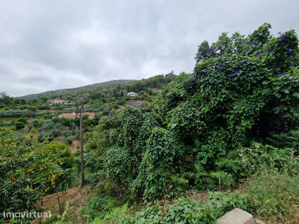 Terreno com Casa para Recuperar - Malhada Quente, Monchique - Grande imagem: 3/24