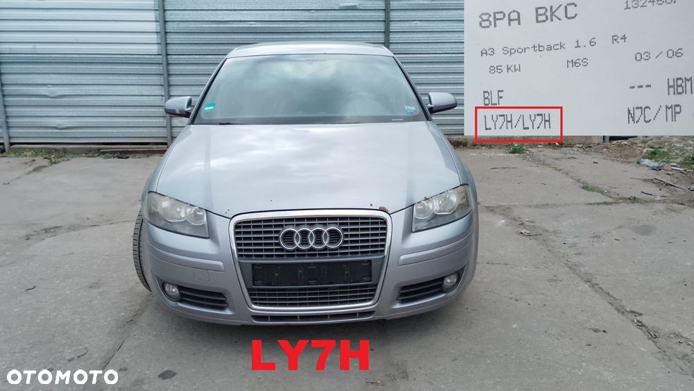 Tylko Części AUDI A3 8P 1.6 FSI BLF 116KM 85kW 5D SPORTBACK 04r–08r Lakier LY7H - 1