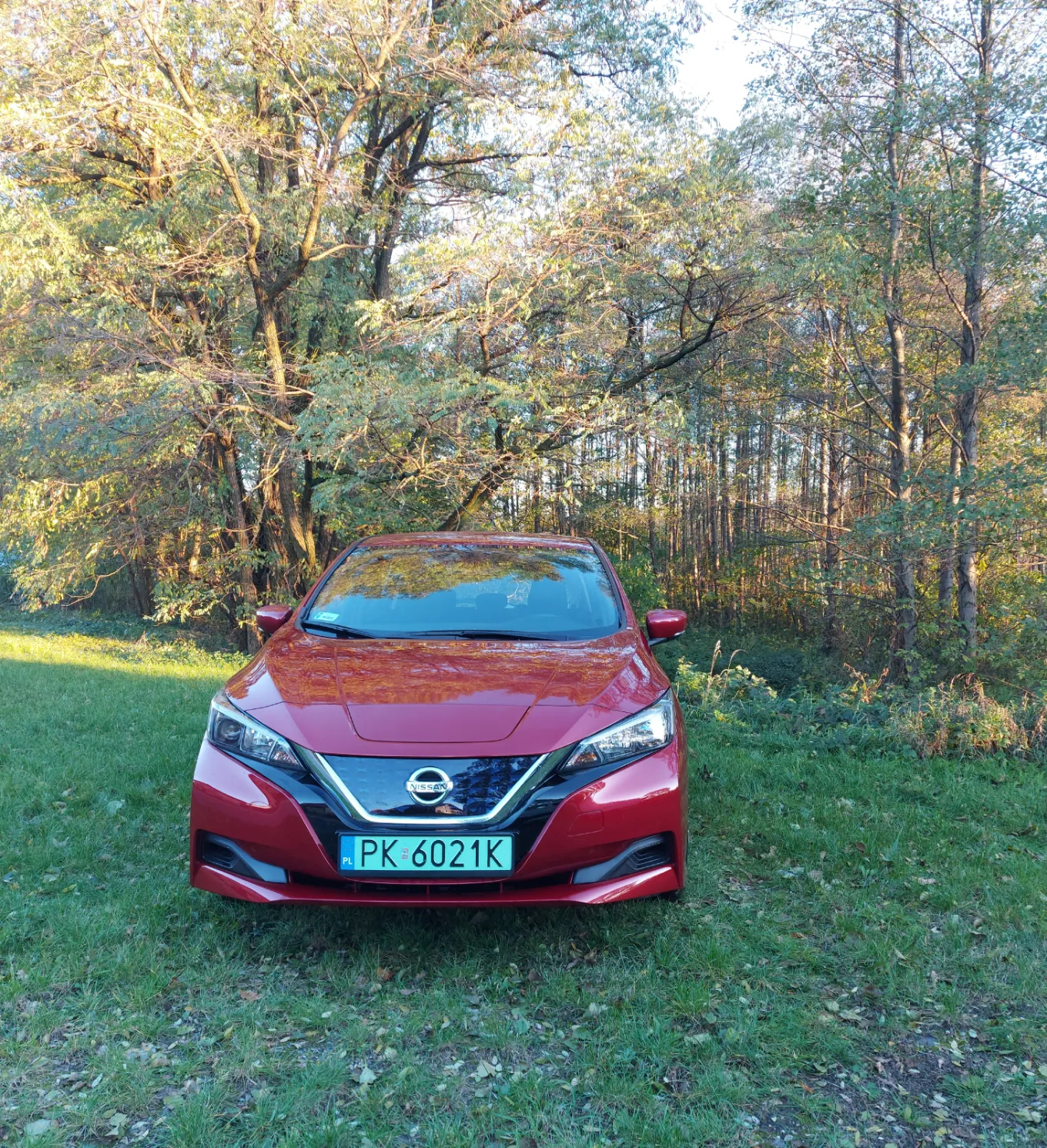 Nissan Leaf 40kWh Acenta - 5