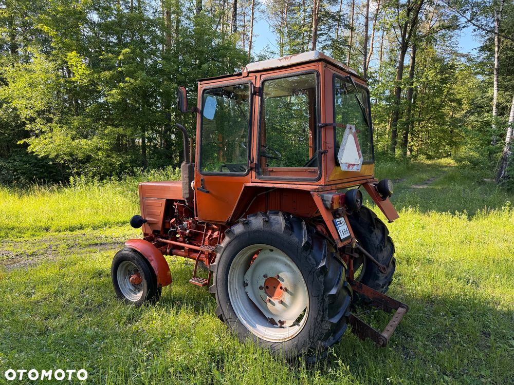 Inny WLADIMIREC T25A - 5