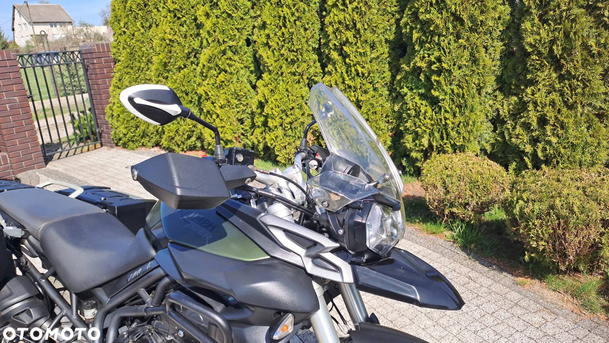 Triumph Tiger - 6