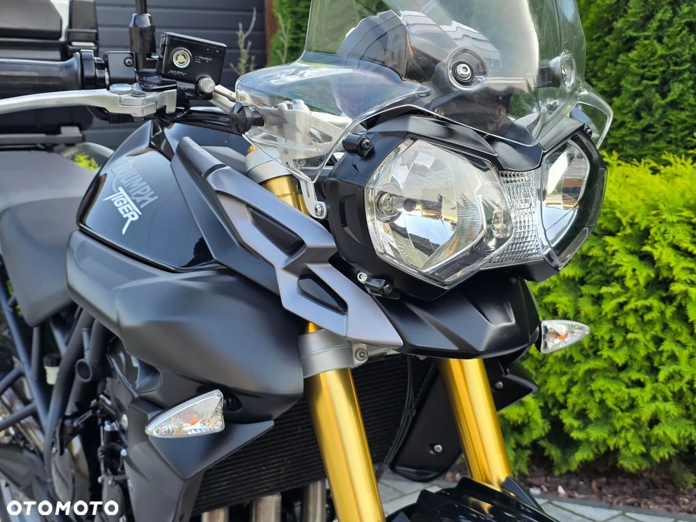 Triumph Tiger - 21