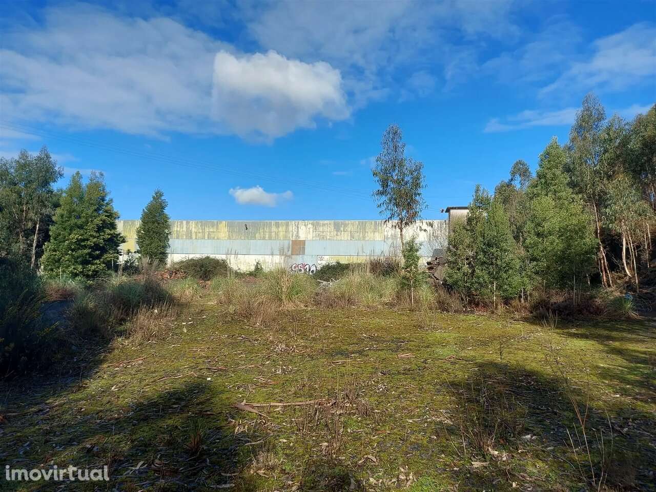 Terreno na Zona Industrial das Mimosas - Grande imagem: 2/16