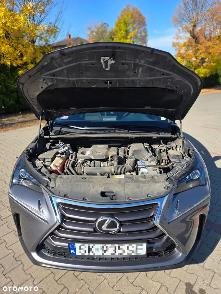 Lexus NX - 13