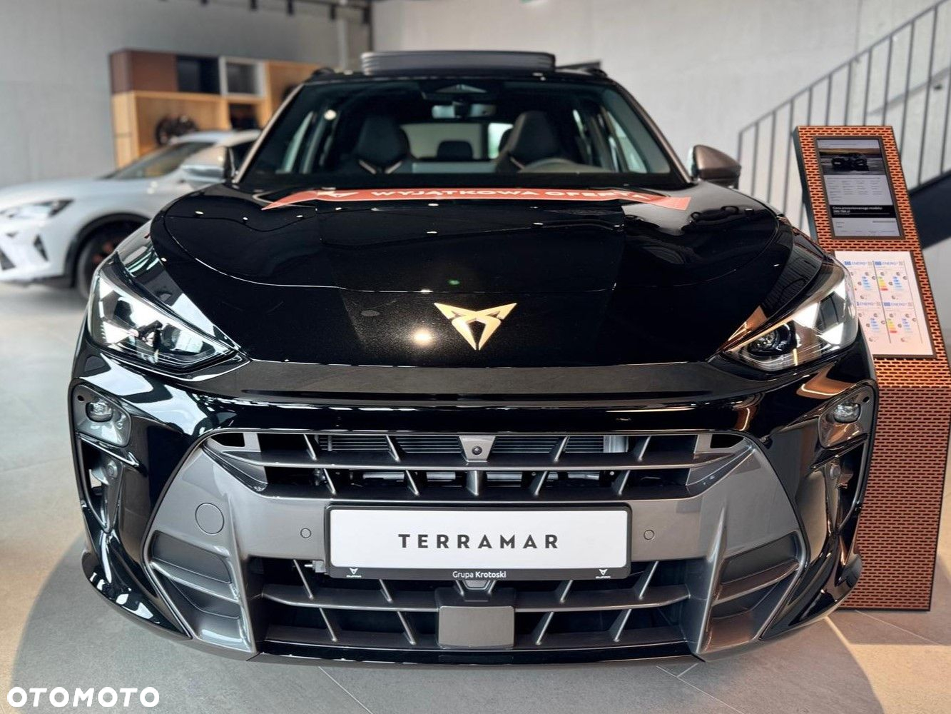 Cupra Terramar - 4