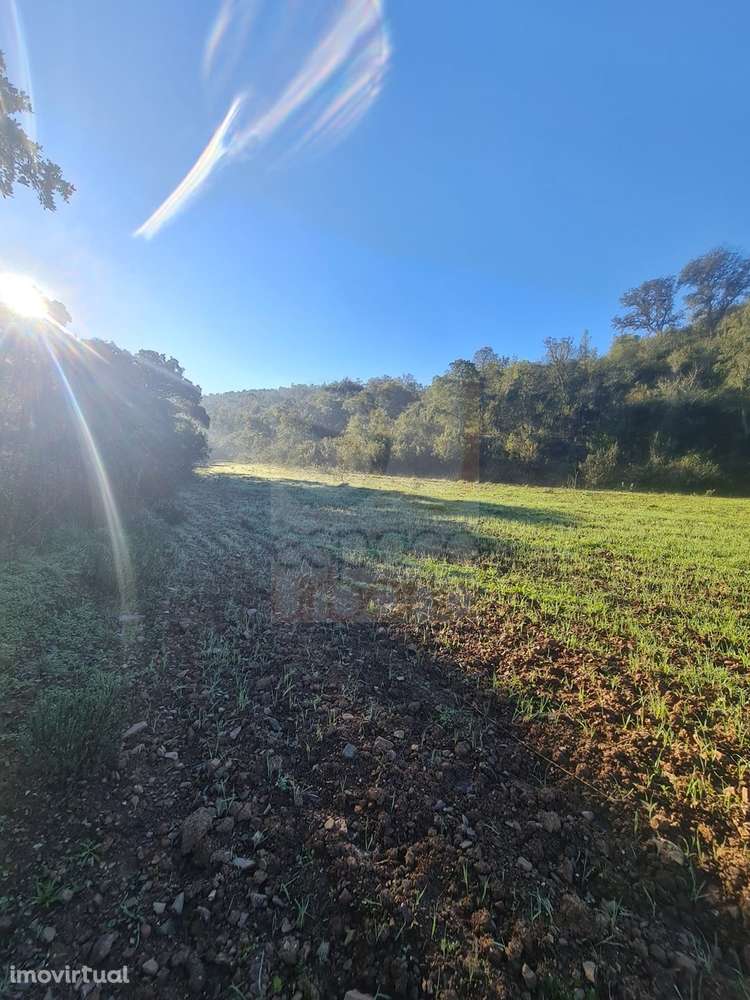 MARAVILHOSO TERRENO RÚSTICO PARA VENDA COM 41.600 M2 !! - Grande imagem: 3/26
