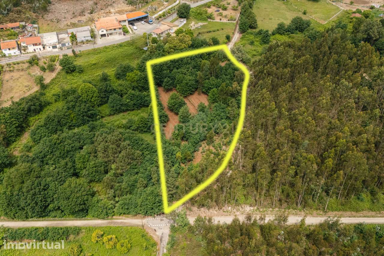 Terreno Rústico com 4.700 m² junto à Ecopista do Vouga – Arcozelo das - Grande imagem: 3/16