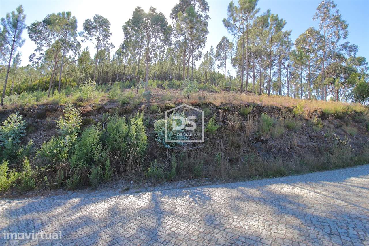 Terreno  Venda em Sobreira,Paredes - Grande imagem: 3/8