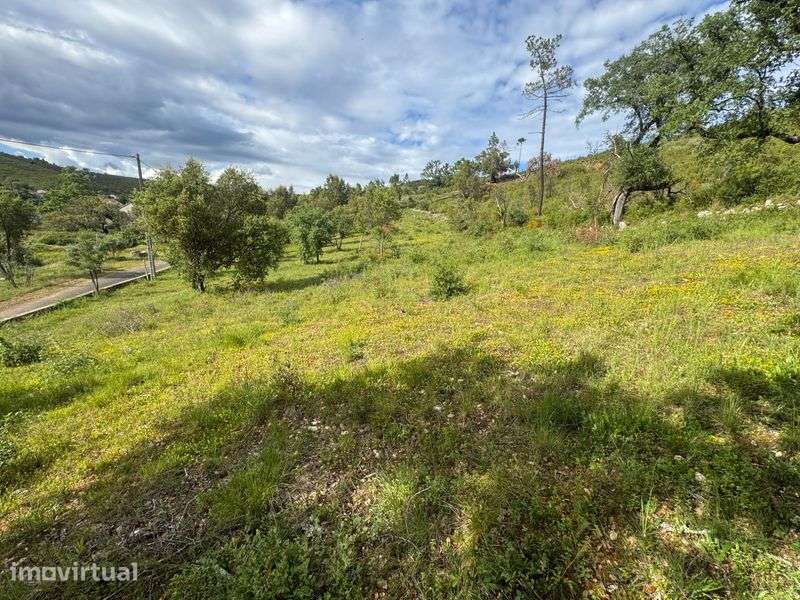 Terreno 10 mil metros quadrados - Grande imagem: 3/8