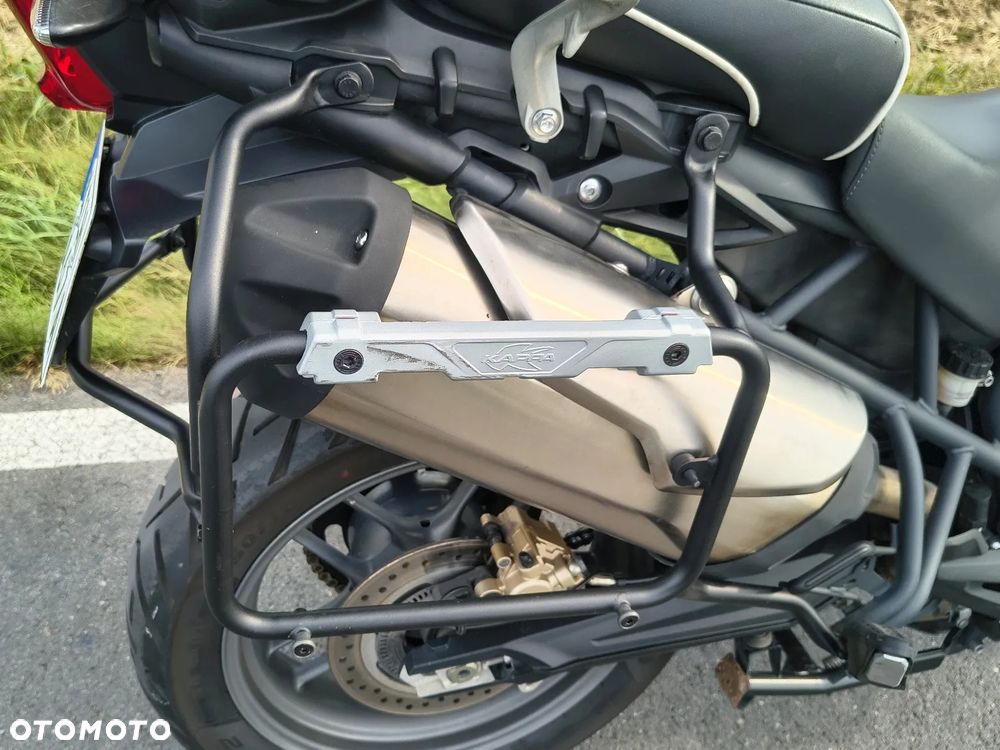 Triumph Tiger - 25