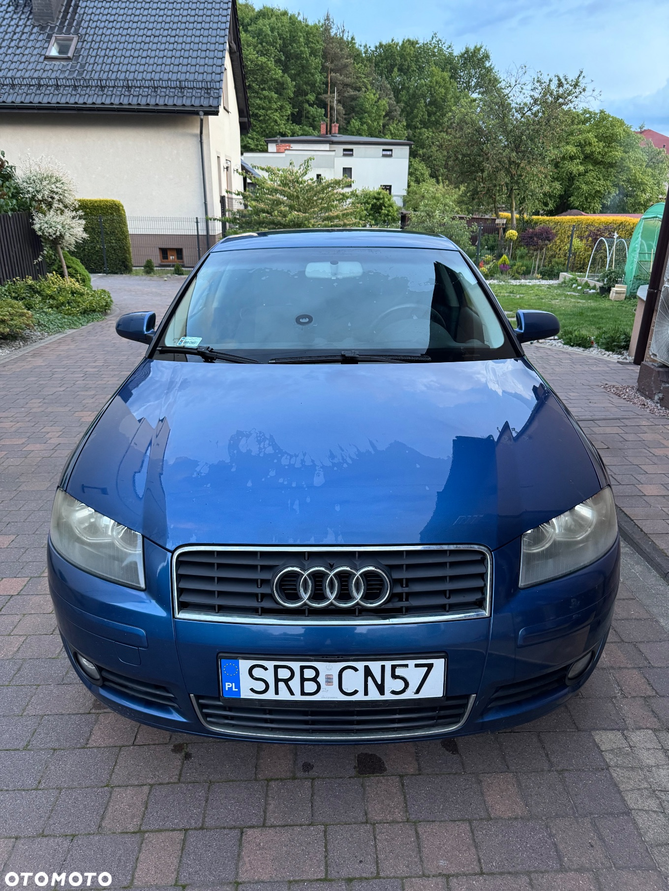 Audi A3 1.6 Ambiente - 6