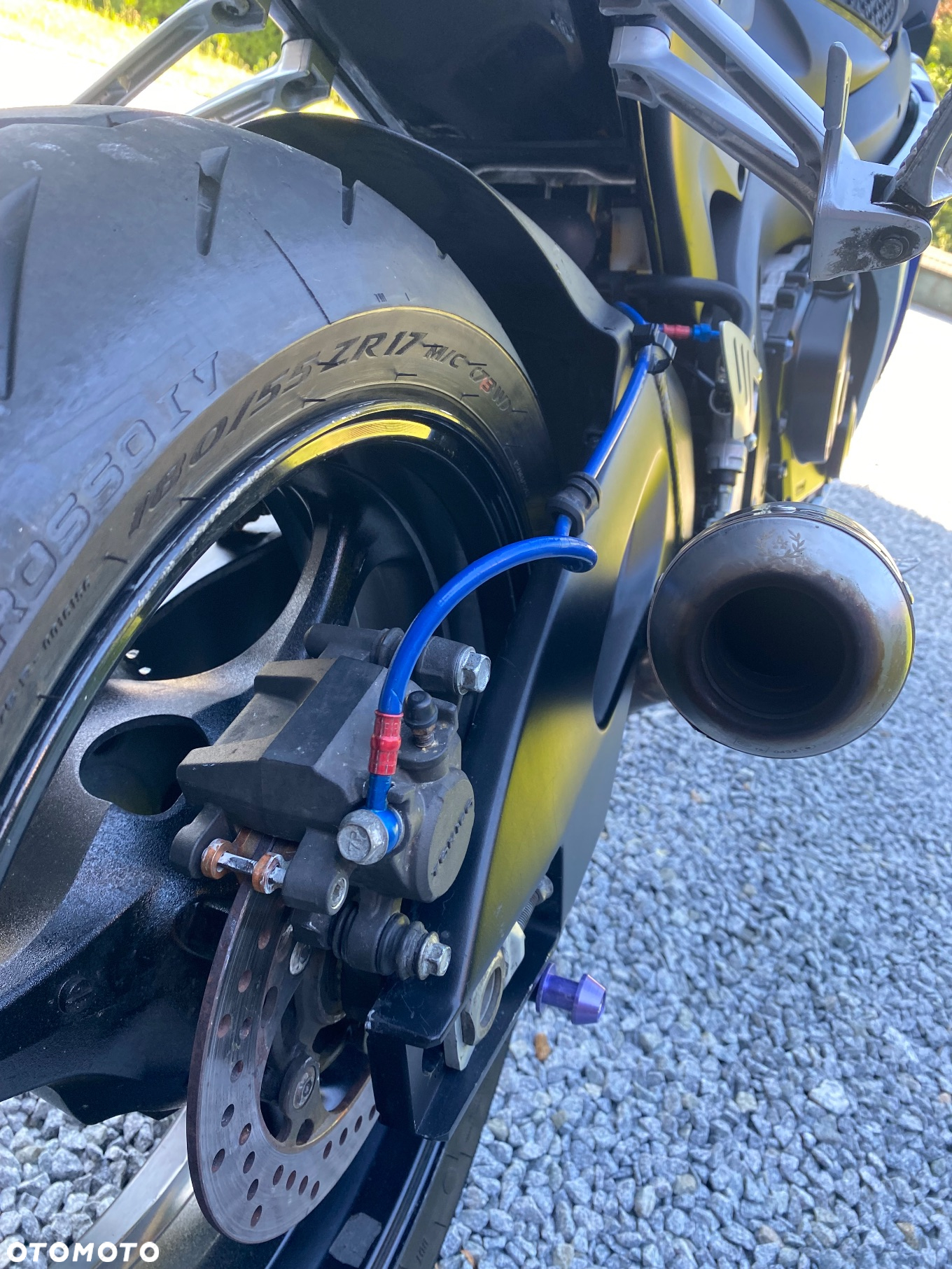 Suzuki GSX-R - 5