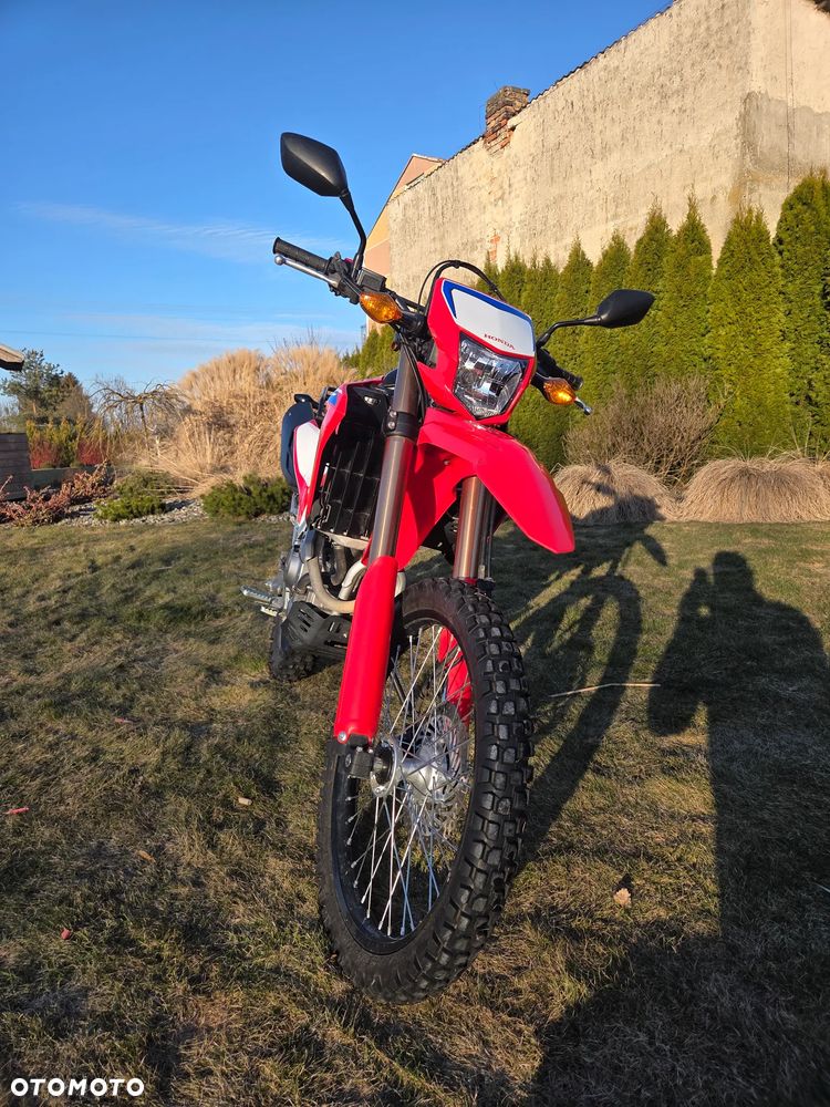 Honda CRF - 6