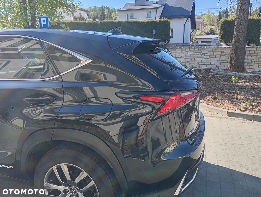 Lexus NX - 24