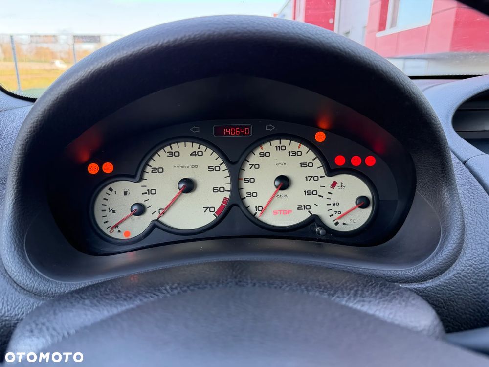 Peugeot 206 75 Grand Filou Cool - 20
