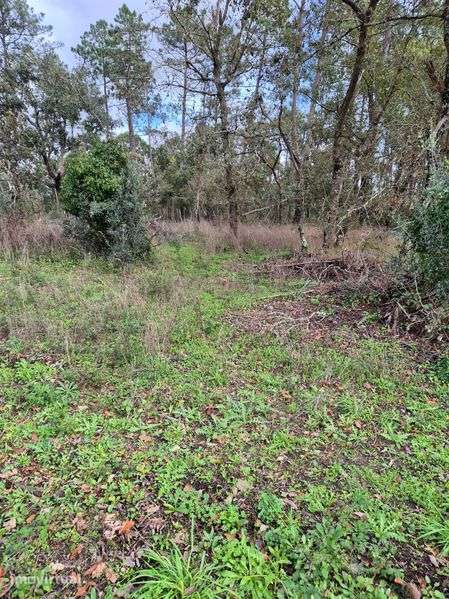 Terreno para venda - Grande imagem: 2/6
