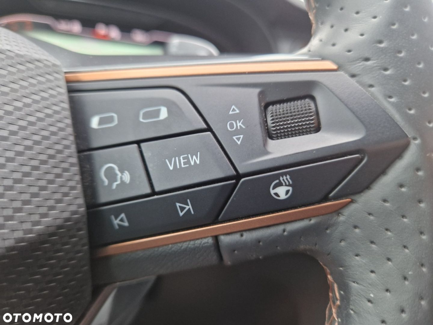 Cupra Ateca 2.0 TSI 4Drive DSG - 28