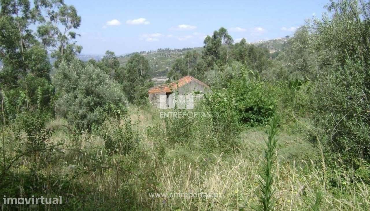 Venda Terreno, Soalhães, Marco de Canaveses - Grande imagem: 4/6