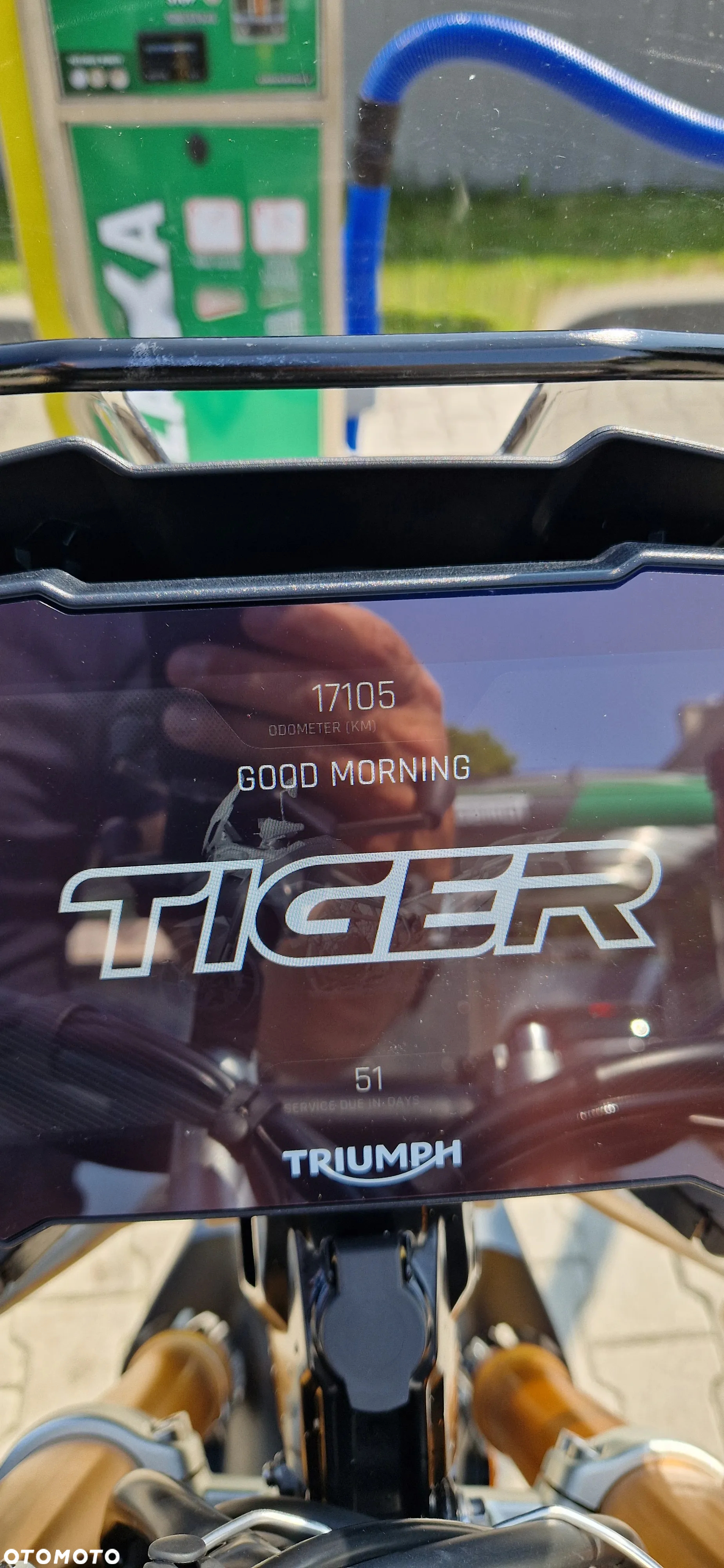 Triumph Tiger - 11