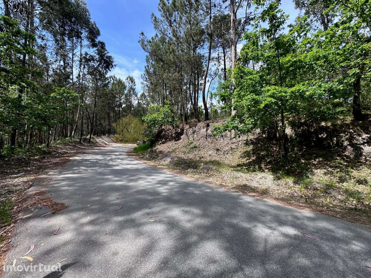 Terreno Ribas Celorico de Basto - Grande imagem: 2/11