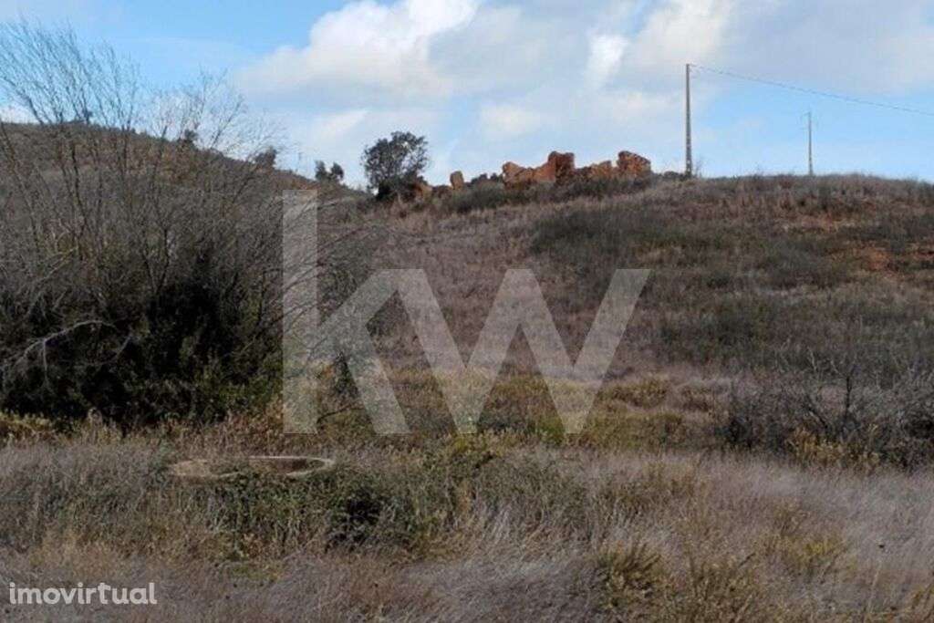 Cultura Arvense - Grande imagem: 5/10