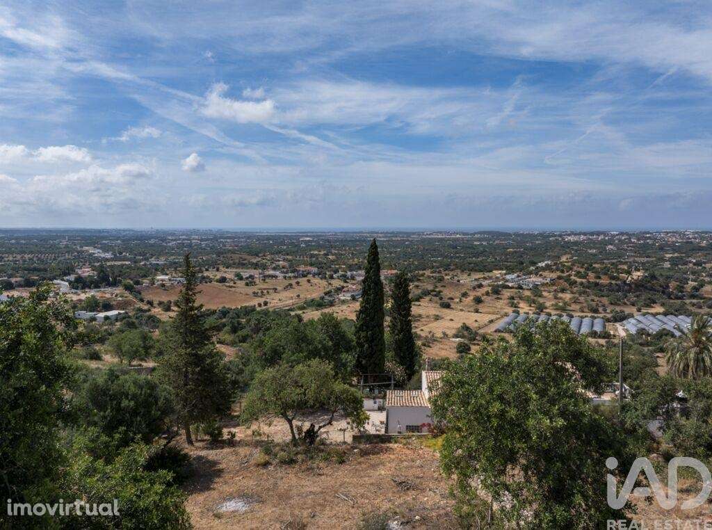 Terreno em Boliqueime - Grande imagem: 5/14