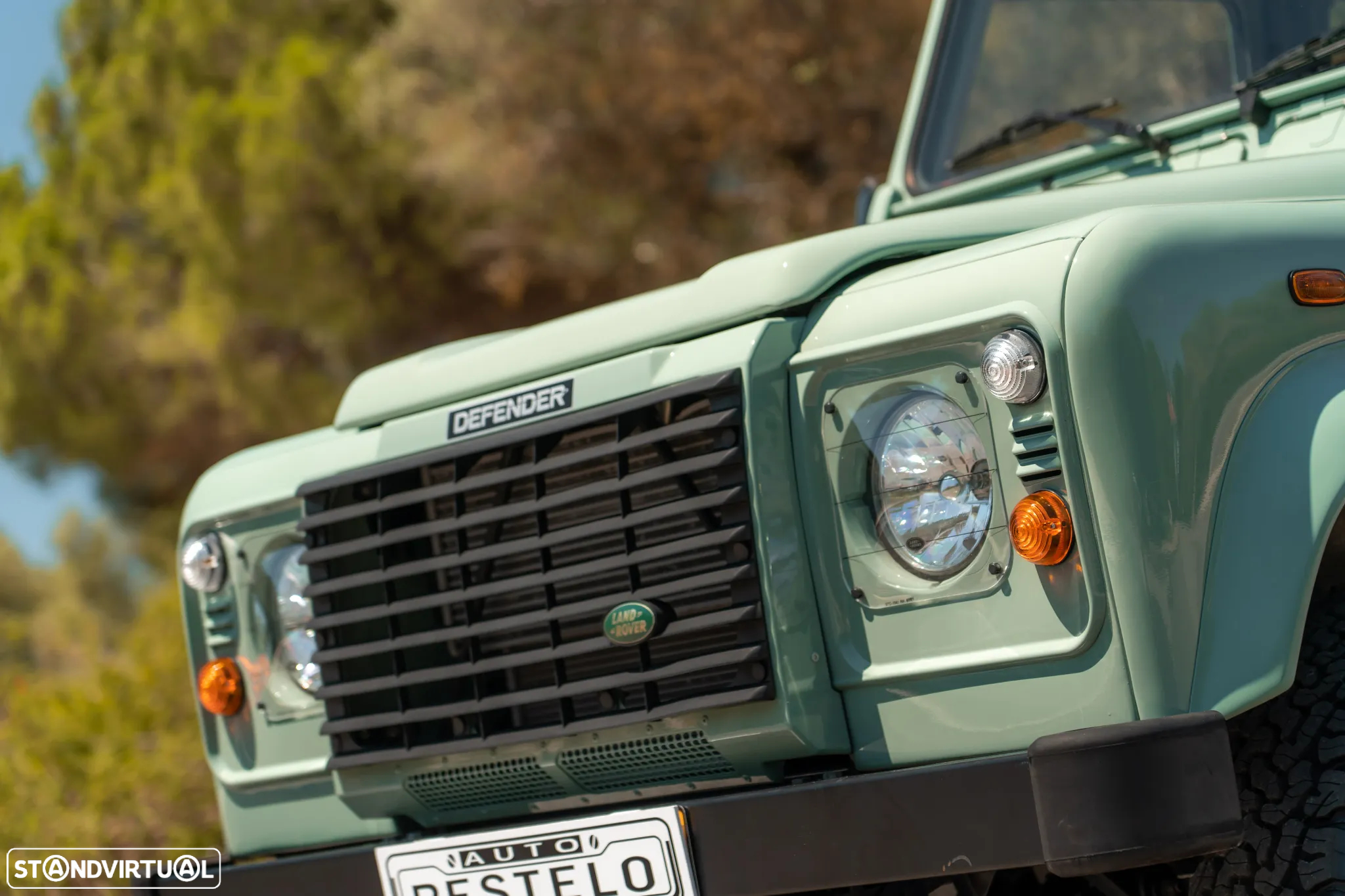 Land Rover Defender 110 SW 2.5 Td5 SE - 10