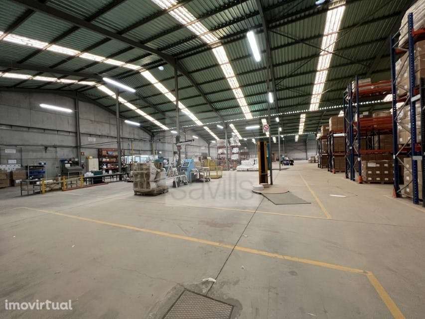 Armazém indústria | Santa Comba Dão - Grande imagem: 4/12