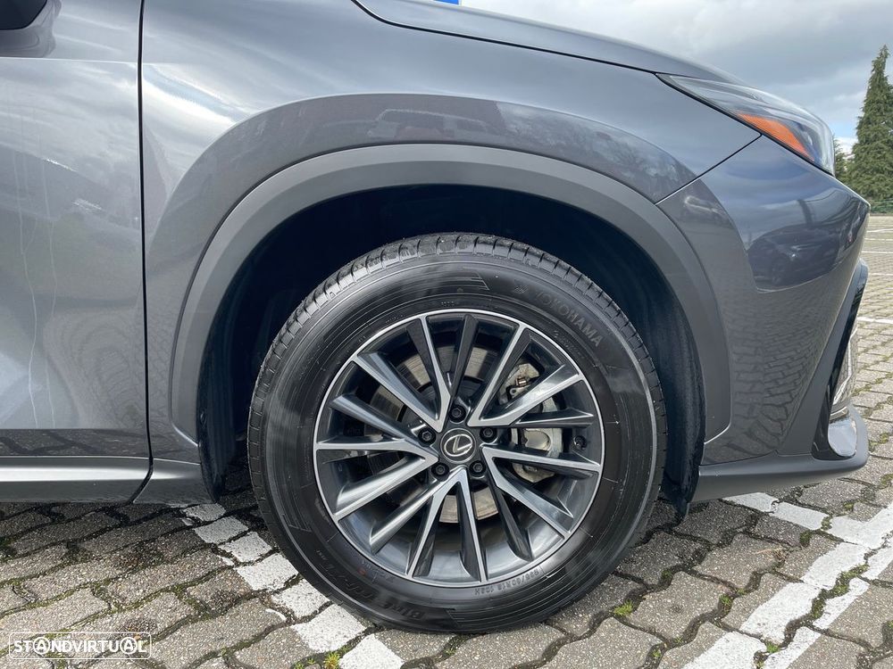 Lexus NX 450h+ - 18
