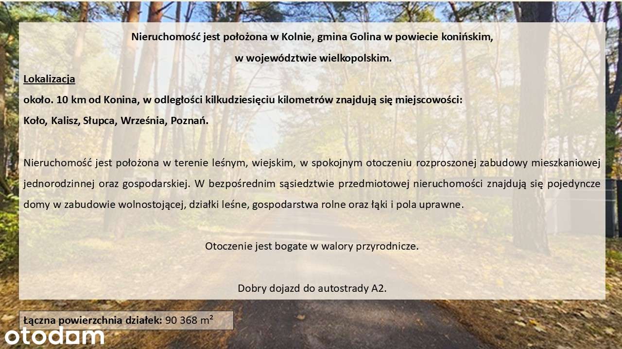 Budynek przystosowany dla osób starszych i niepełnosprawnych - Pełny obrazek: 3/20
