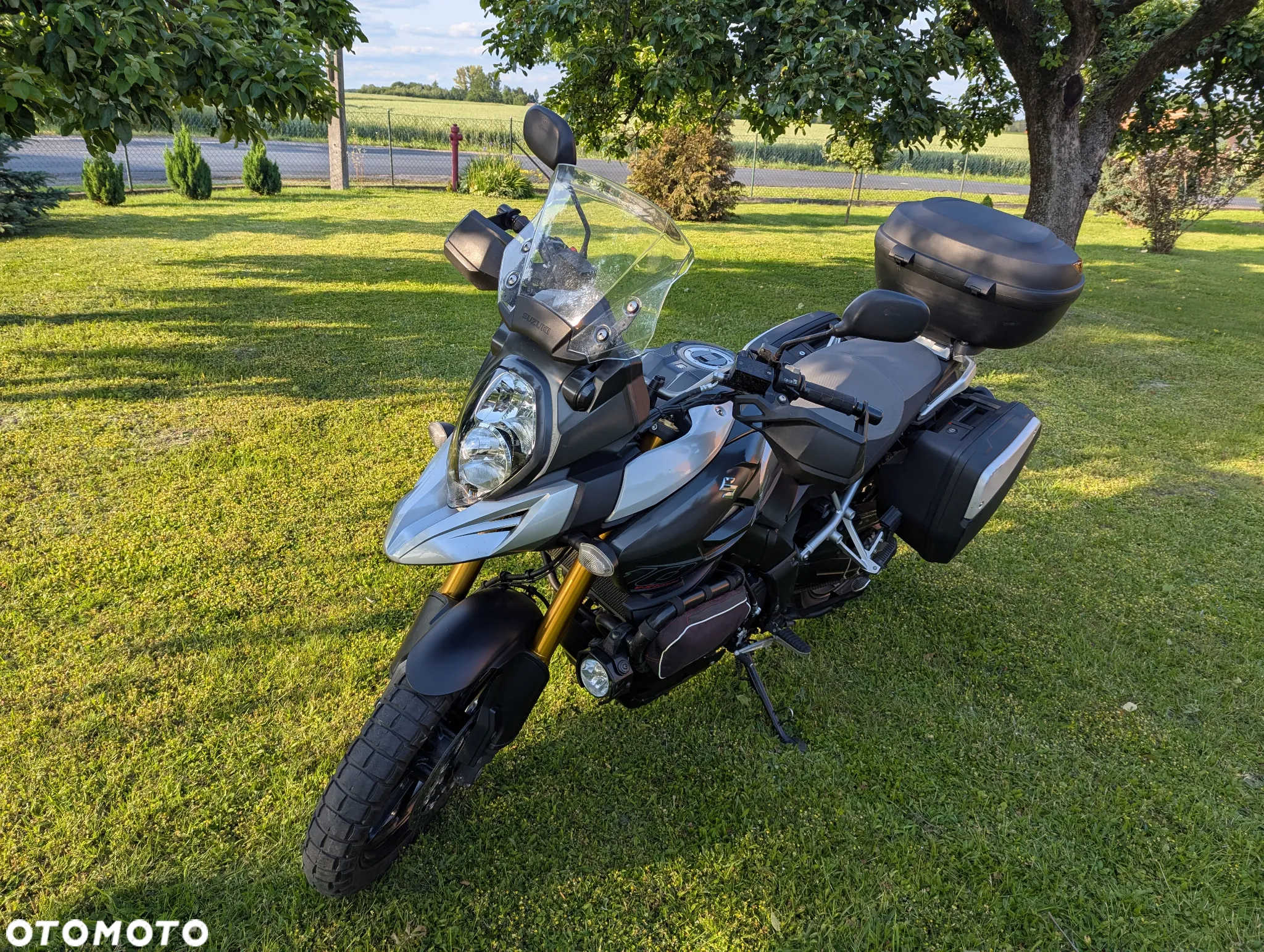 Suzuki DL - 2