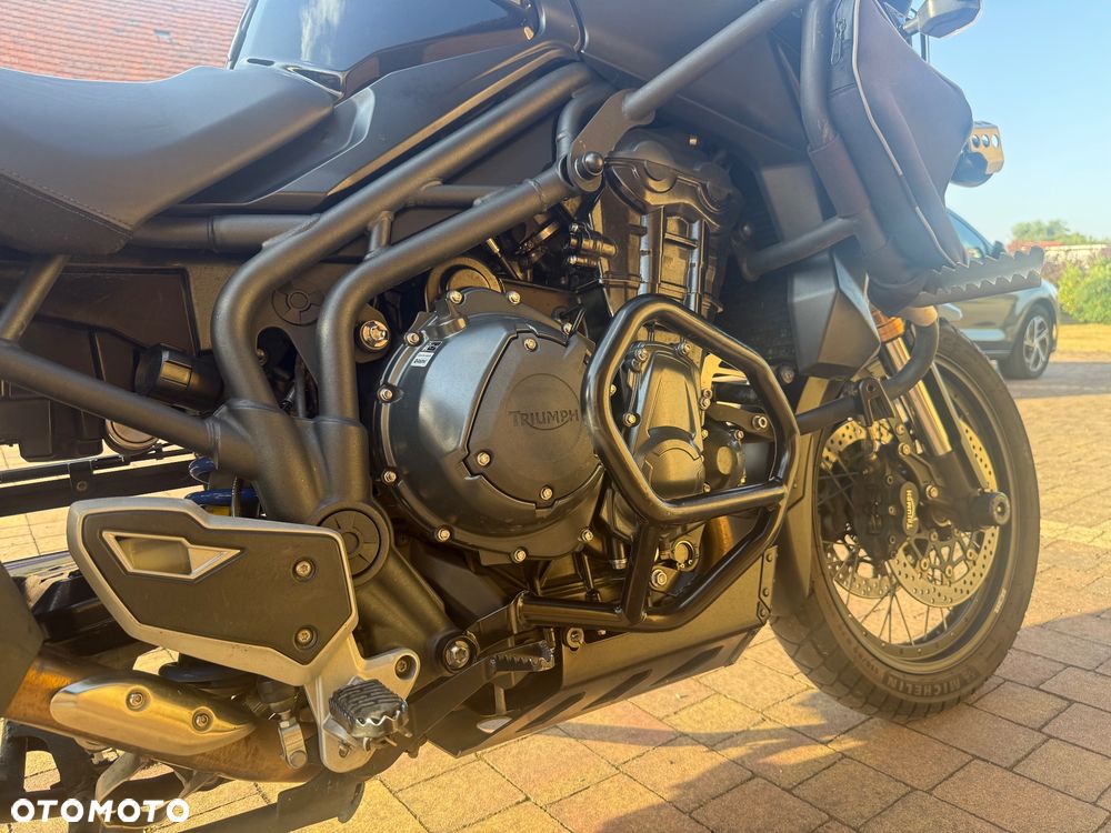 Triumph Tiger - 14