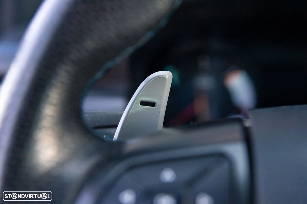 Ford Ranger 2,0 l TDCi Panther Auto Raptor - 29